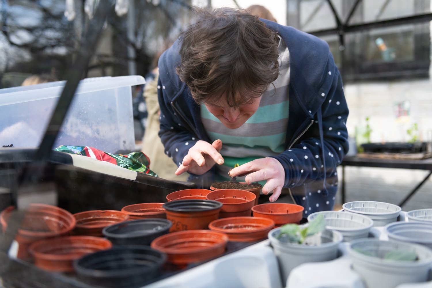 Scotts Project Trust 080425 7218